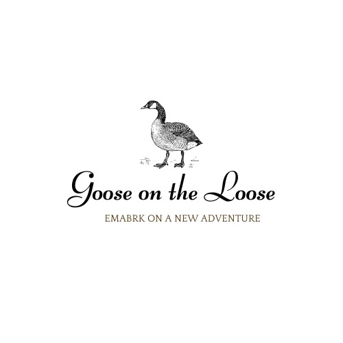 Goose on the Loose – screenshot 1