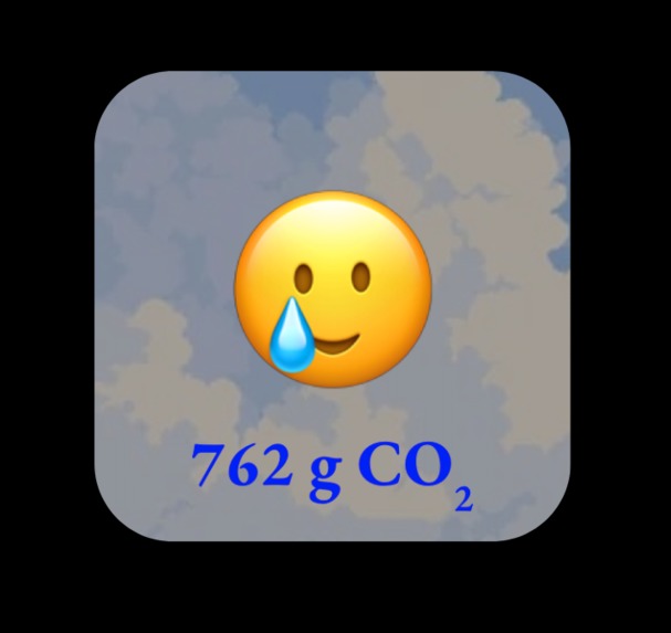 ScreenSaver—The eco-conscious screen-time tracker – screenshot 2
