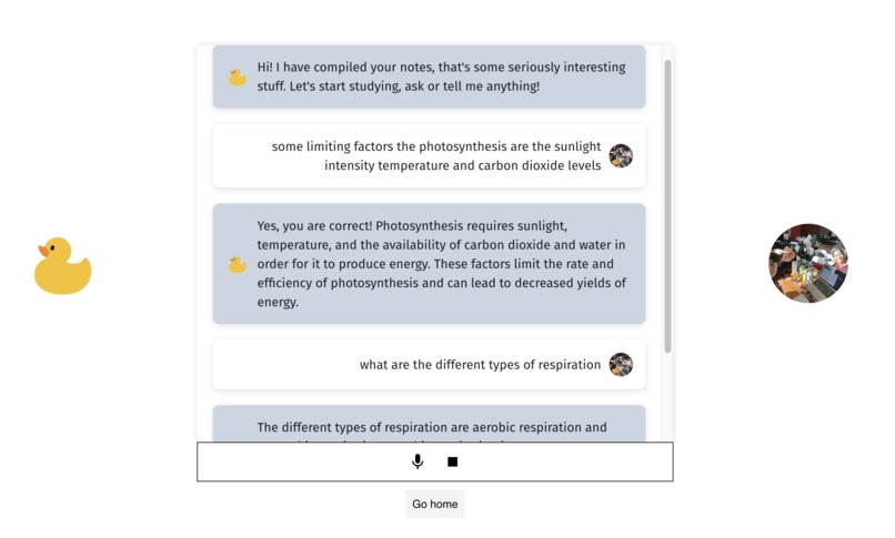 Ducky – screenshot 1