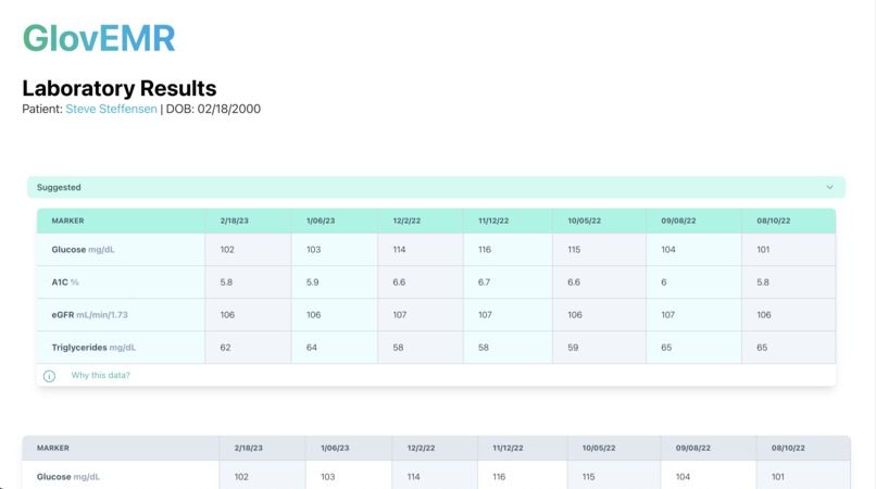 GlovEMR – screenshot 1