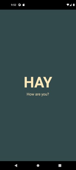 HAY (How Are You?) – screenshot 1