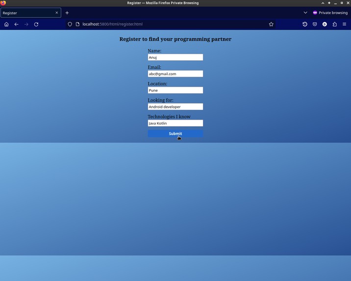 ProgrammerBuddy – screenshot 2