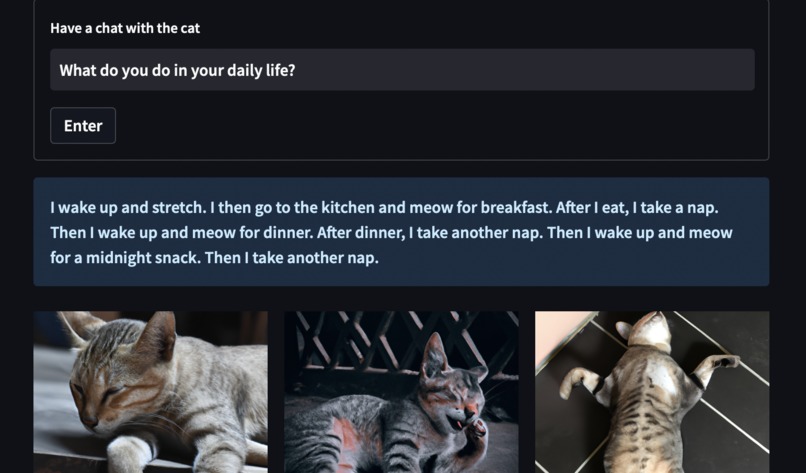 Le Chat-GPT – screenshot 2