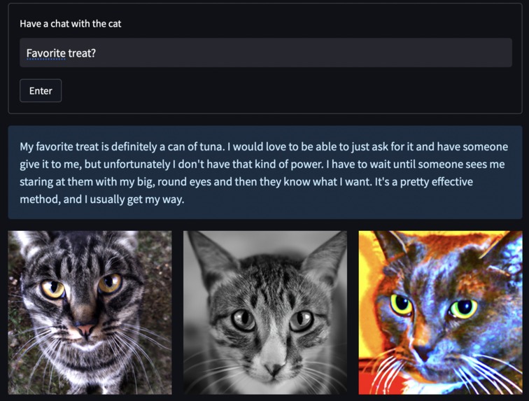 Le Chat-GPT – screenshot 3