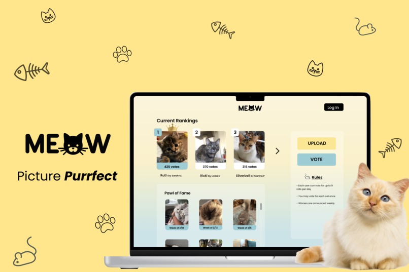 MEOW – screenshot 1