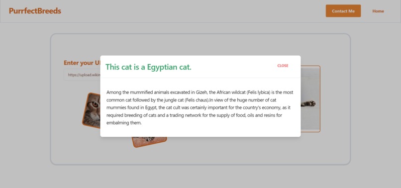 PurrfectBreeds – screenshot 1