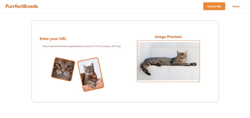 PurrfectBreeds – screenshot 3