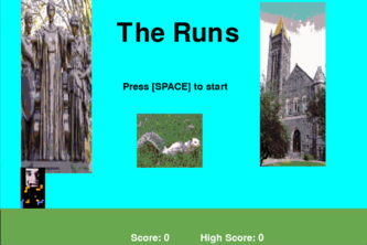 The Runs: An Endless Diarunner 