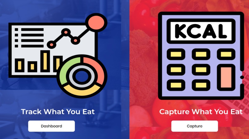 My-Kalory – screenshot 1