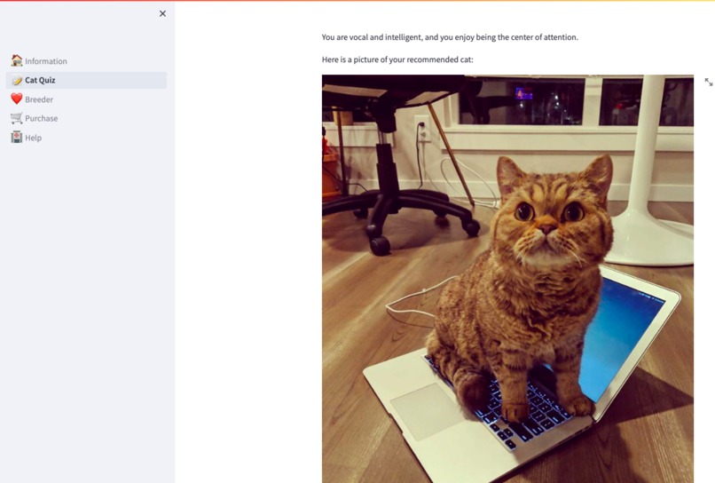 Catpedia – screenshot 5