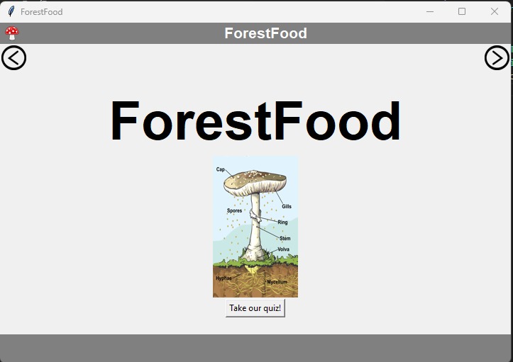 ForestFood – screenshot 2