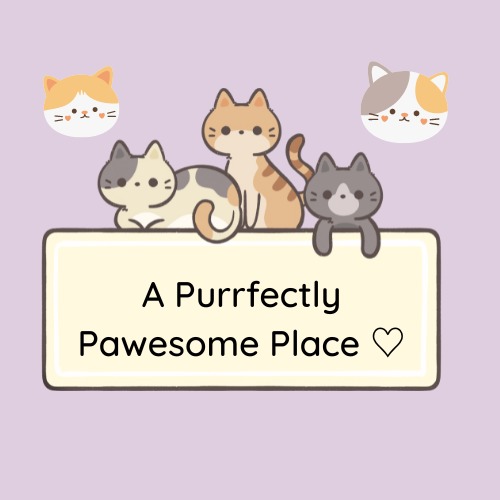A Purrfectly Pawesome Place – screenshot 1
