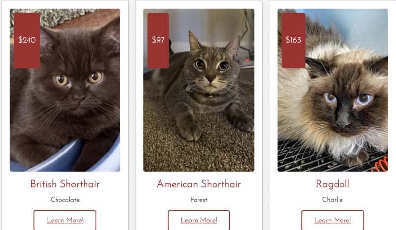 Whisker Friends – screenshot 3