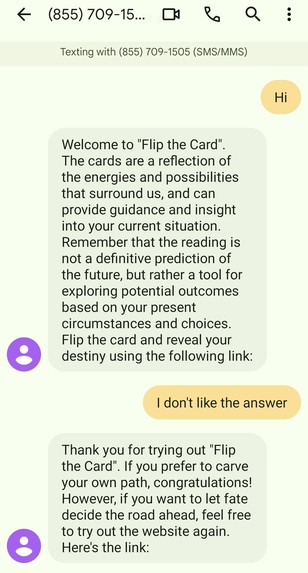 What the Flip – screenshot 3
