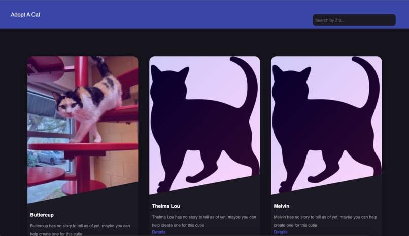Adopt a Kitty – screenshot 1