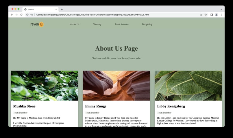 revenU – screenshot 3