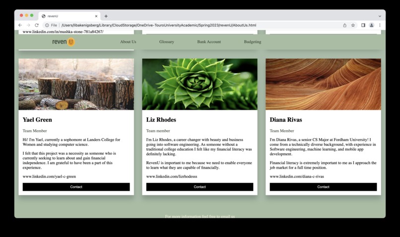 revenU – screenshot 4