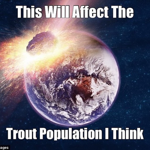 Trout Forecast – screenshot 1