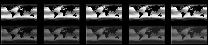 CoralEye – screenshot 1