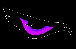 FormVision – screenshot 1