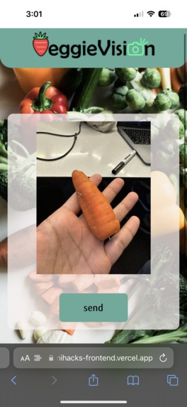 VeggieVision | Team BlackRed – screenshot 3