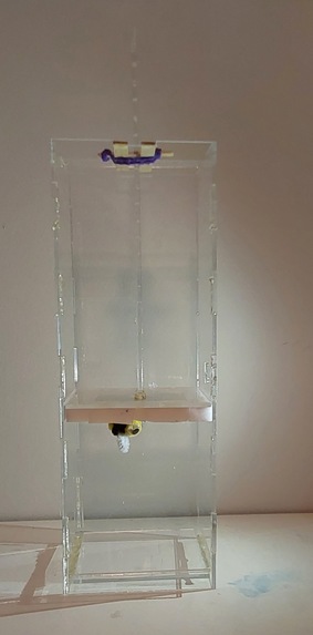 The Brisky Booth – screenshot 1