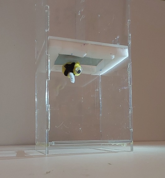 The Brisky Booth – screenshot 2