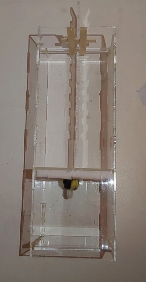 The Brisky Booth – screenshot 4