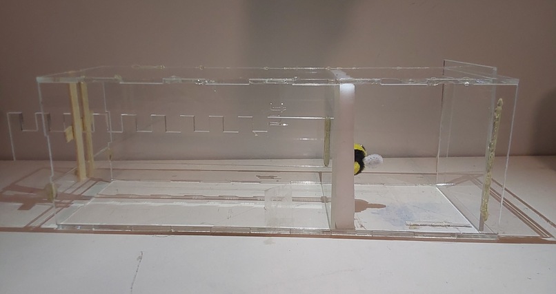 The Brisky Booth – screenshot 6