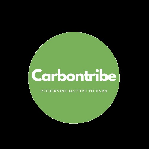 Carbontribe – screenshot 1