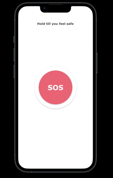 SIS – screenshot 4