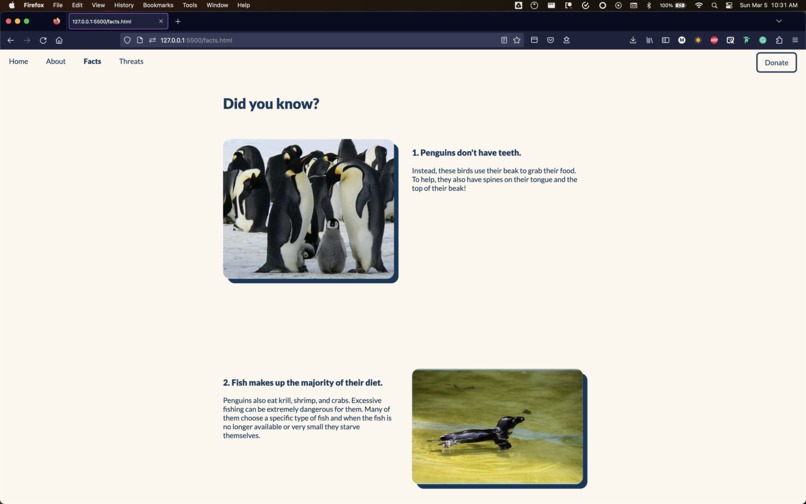 POP: Protect Our Penguins – screenshot 3