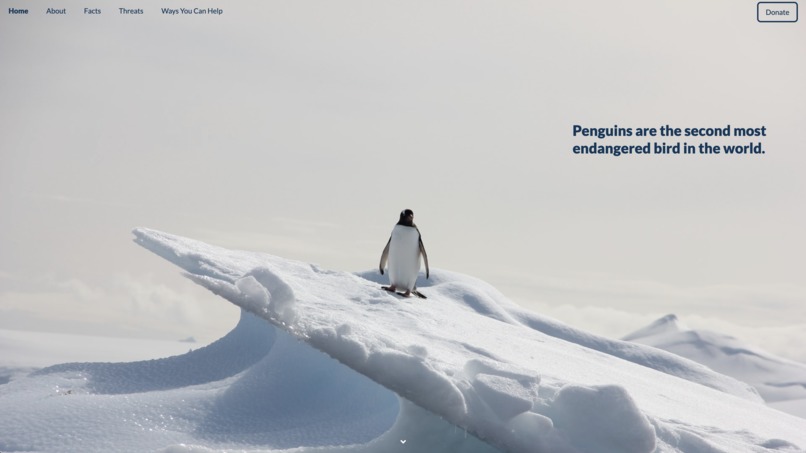 POP: Protect Our Penguins – screenshot 1