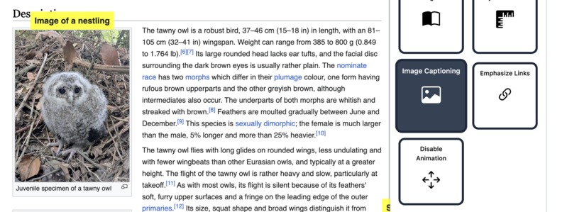 Open Accessibility – screenshot 2