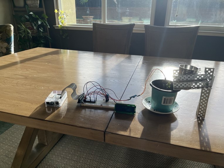 SproutLad – screenshot 1