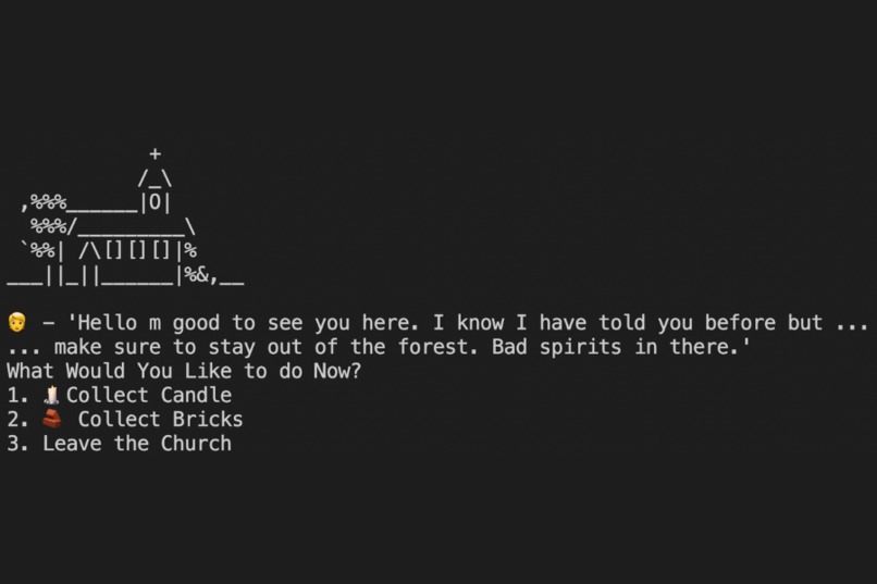 Silver Hollow Command Line Game – screenshot 7