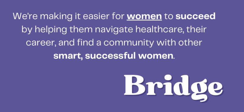 Bridge – screenshot 3