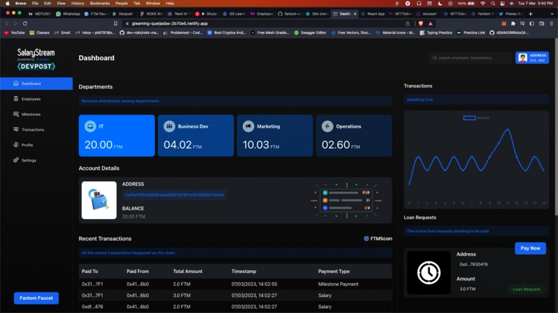 SalaryStream – screenshot 3