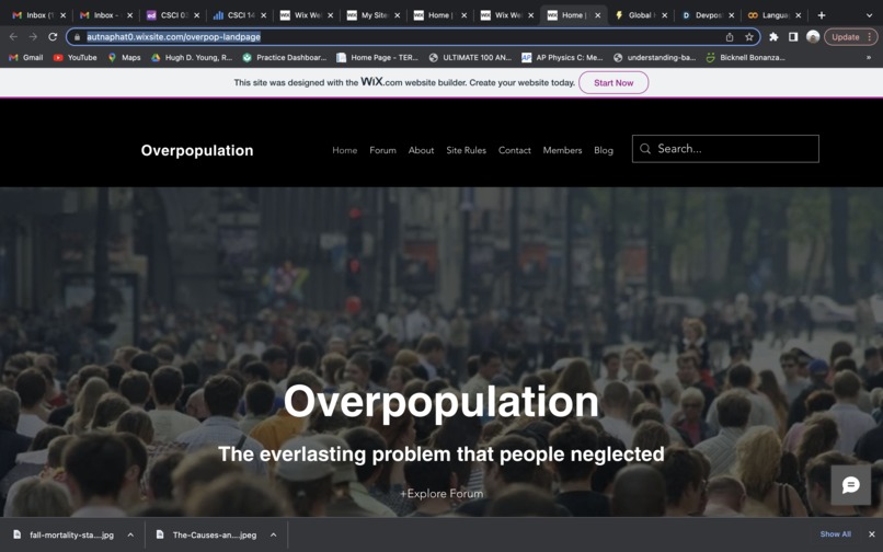 Landing page for overpopulation – screenshot 1