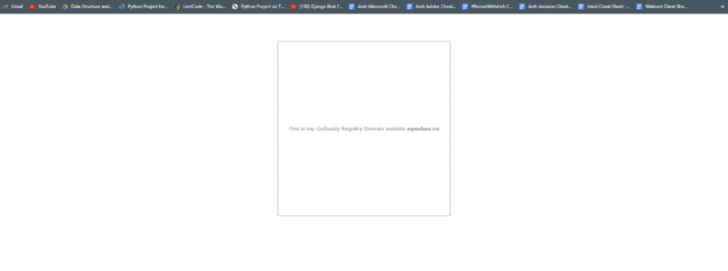 website – screenshot 1