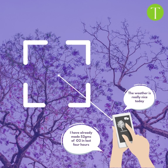 Tree Shadows – screenshot 3