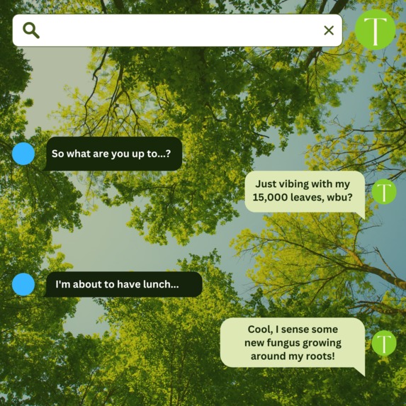 Tree Shadows – screenshot 4