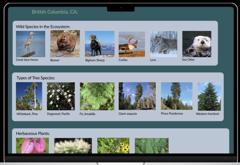 Ecoverse – screenshot 2