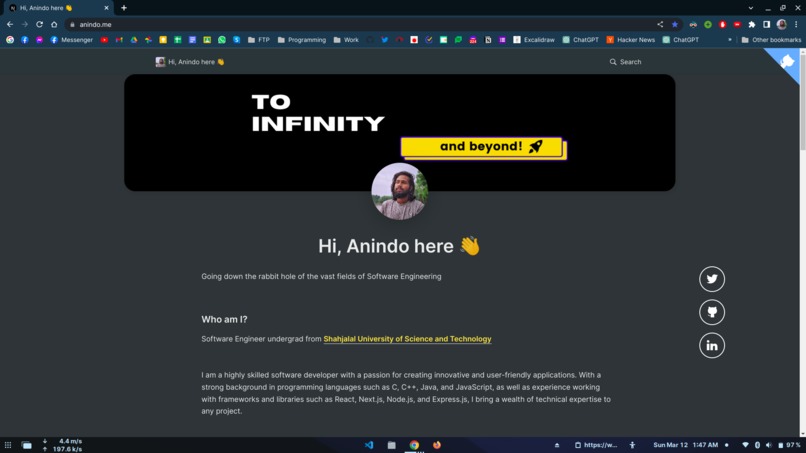 Anindo Portfolio – screenshot 1
