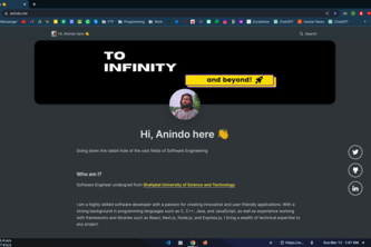 Anindo Portfolio