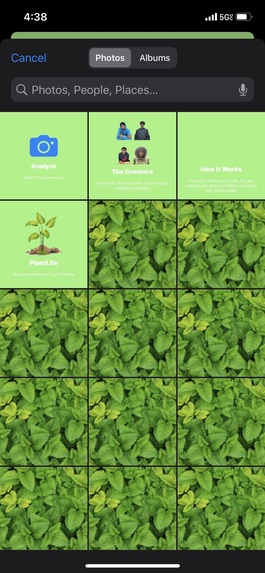 PlantLife – screenshot 4