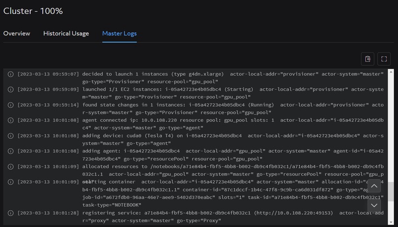 "Efficient Distributed Training with Determined AI"  – screenshot 16
