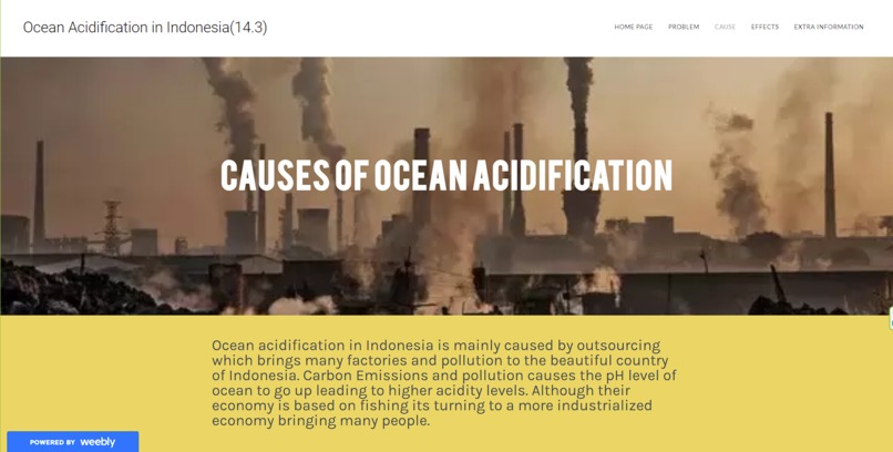 Ocean Acidification in Indonesia (14.3) – screenshot 3