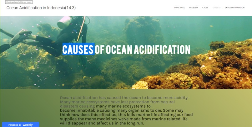 Ocean Acidification in Indonesia (14.3) – screenshot 4