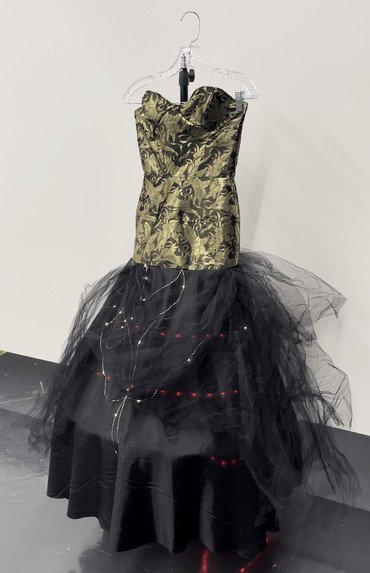 Team 14 - The Siren – screenshot 1